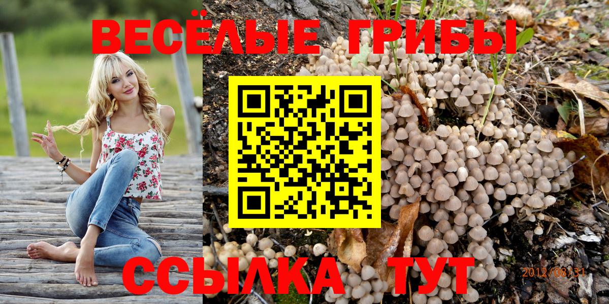 Псилоцибиновые грибы GOLDEN TEACHER Нарткала